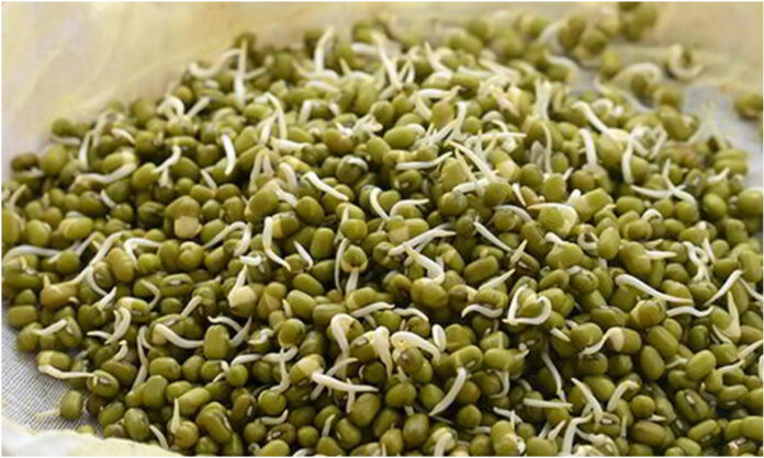 moong dal sprouts